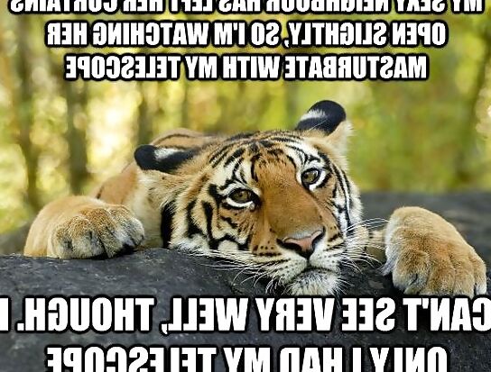 Just for lulz