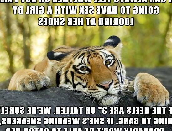 Just for lulz