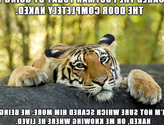 Just for lulz