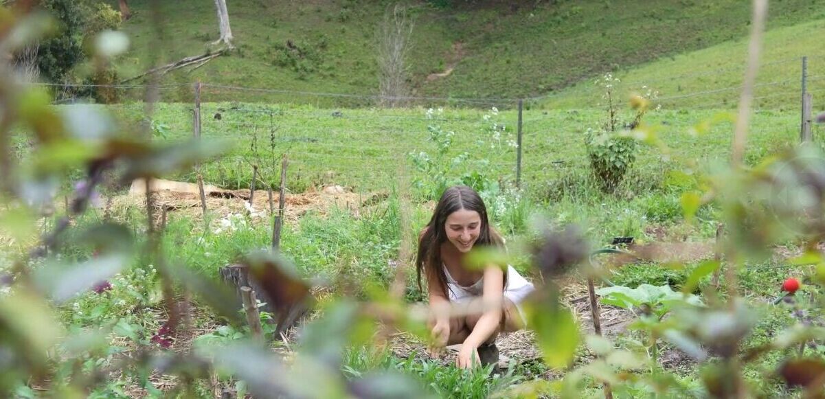 Mother The Mountain Farm nude