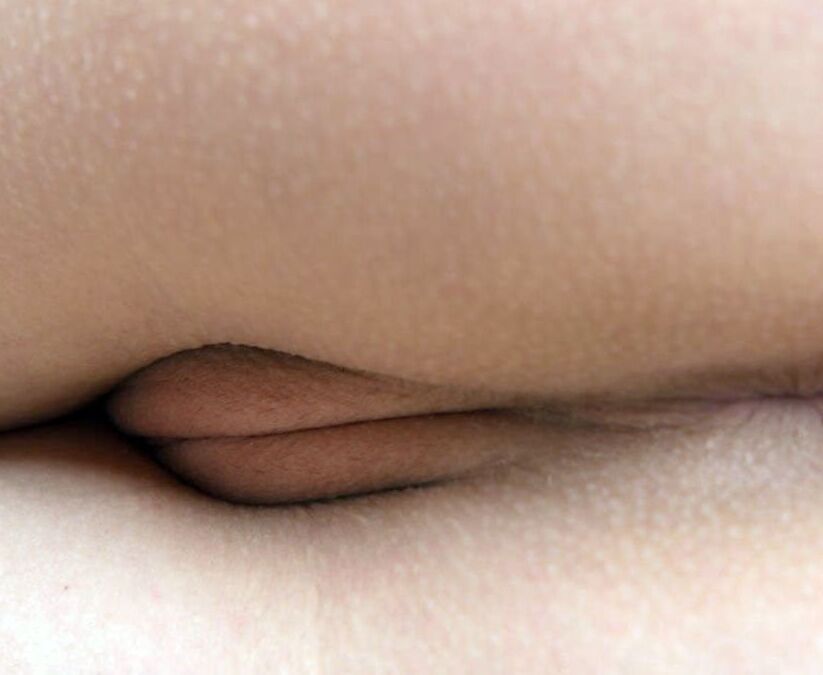 Pussy Collection