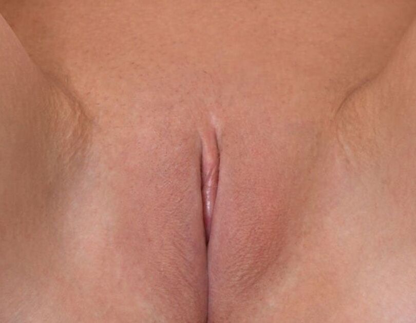 Pussy Collection