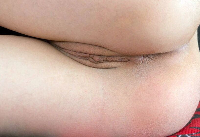 Pussy Collection