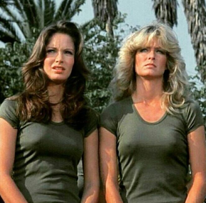 The Incredible Jaclyn Smith