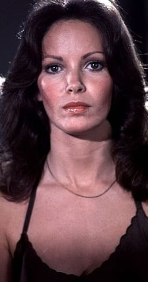 The Incredible Jaclyn Smith