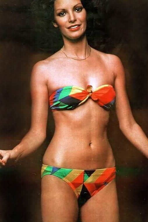 The Incredible Jaclyn Smith