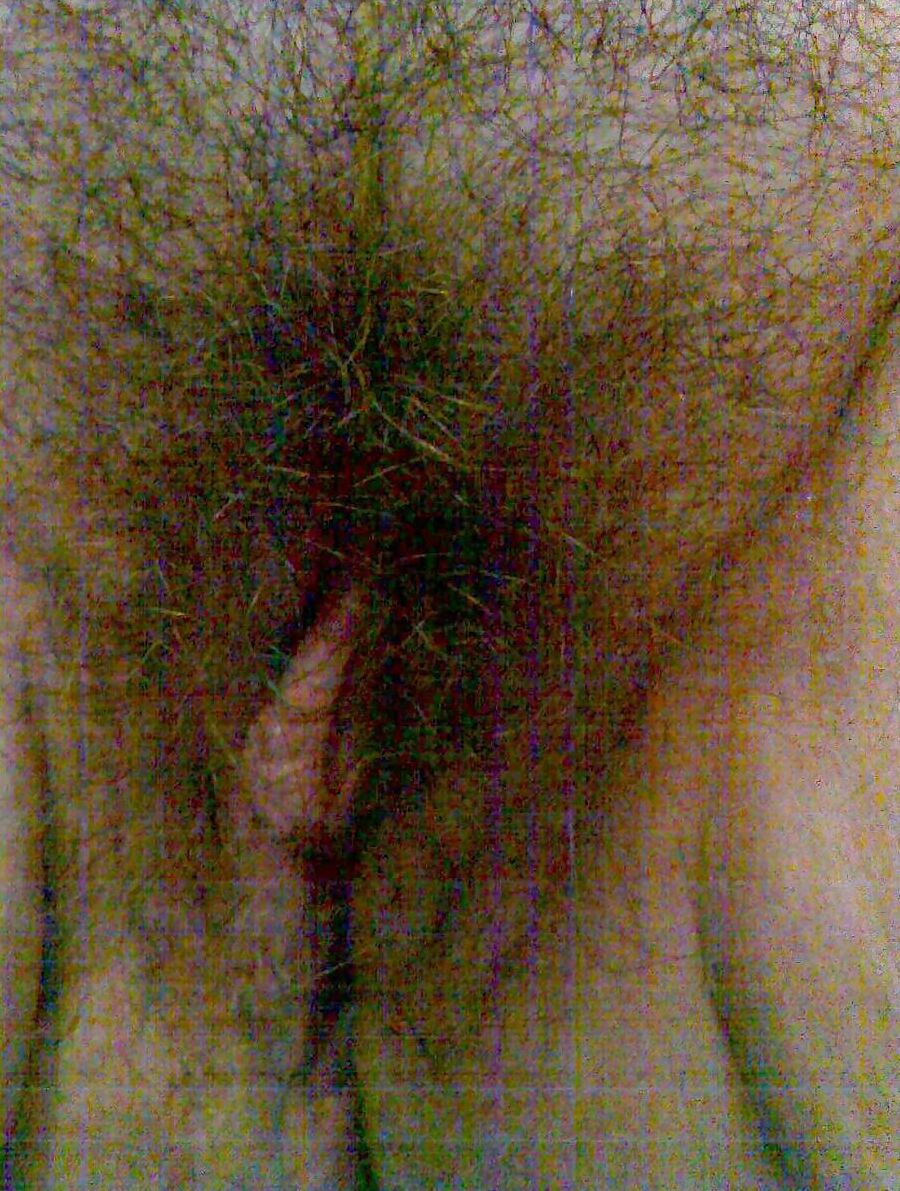 A nice wife