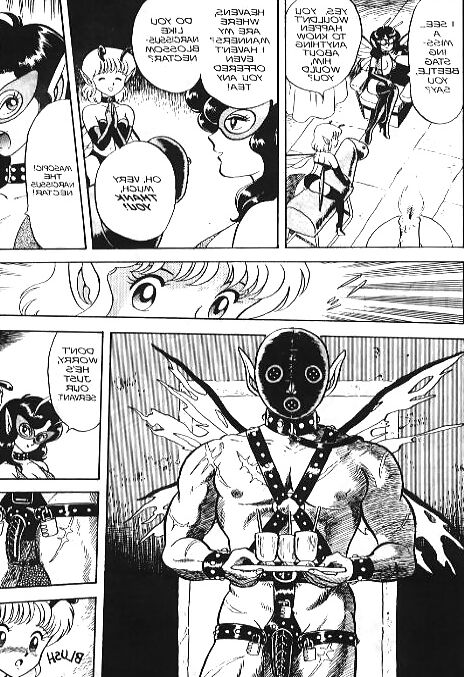 Bondage Fairies