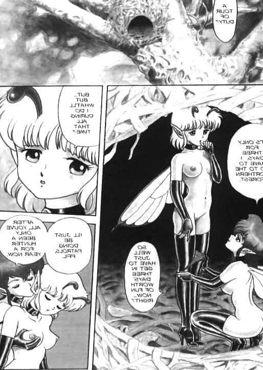 Bondage Fairies