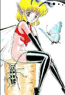 Bondage Fairies