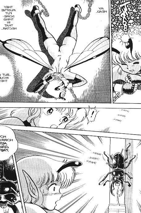 Bondage Fairies