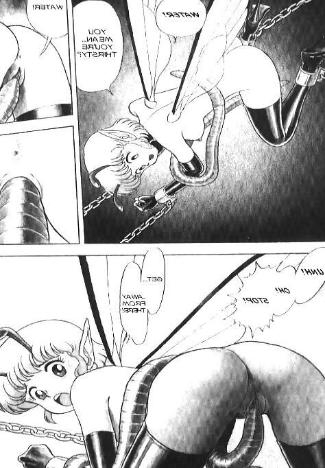 Bondage Fairies