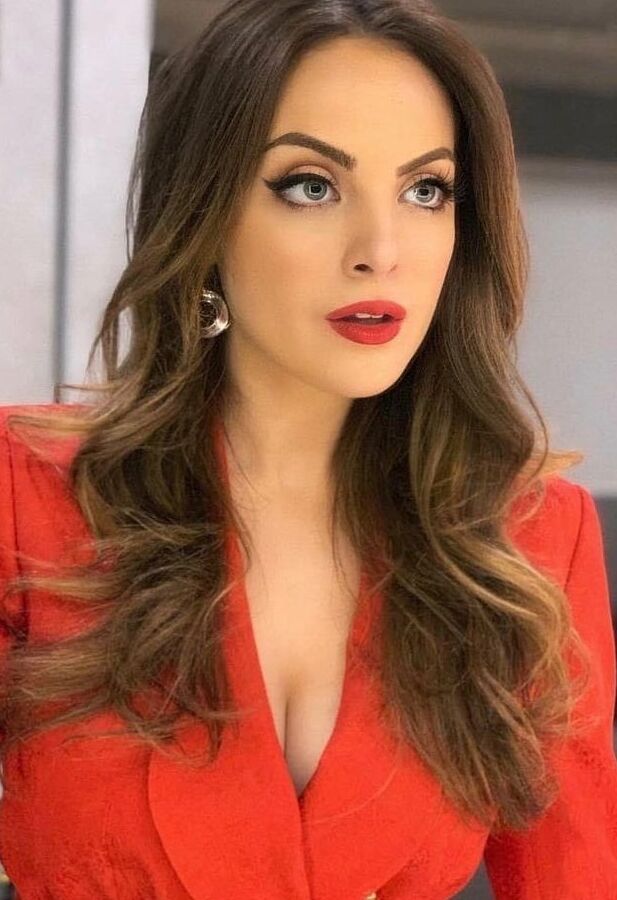Elizabeth Gillies hot