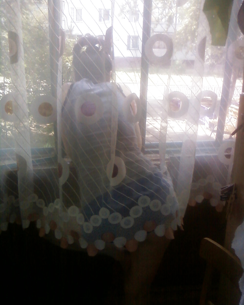 My amazing aunt