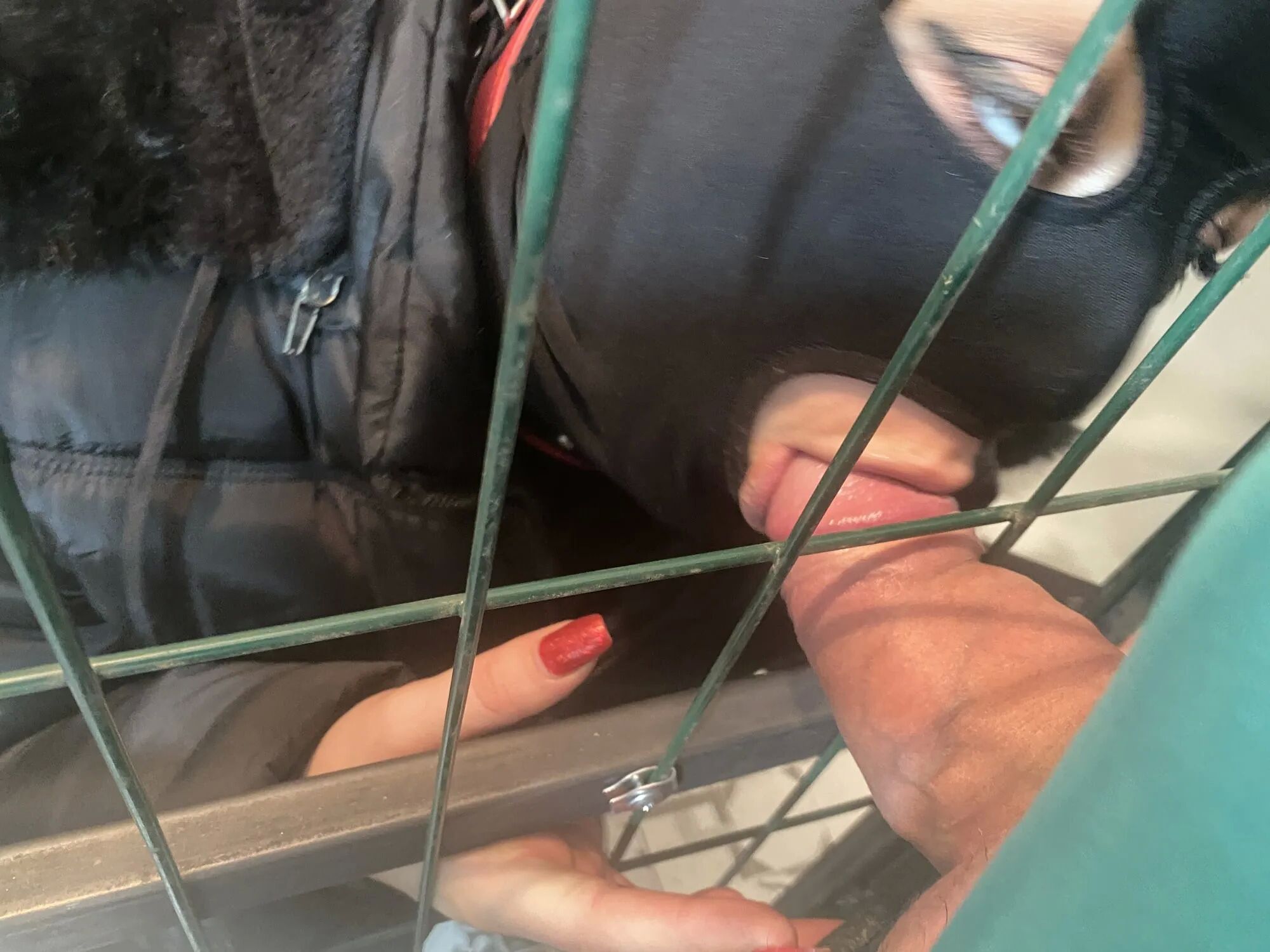 Adventures of MilfyCalla ep 21 A bitch was traped - 33 Pics