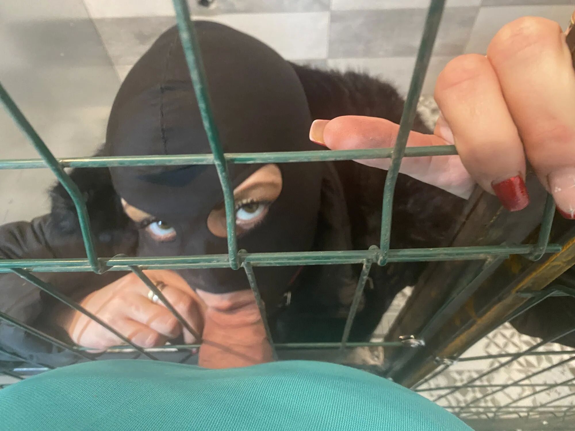 Adventures of MilfyCalla ep 21 A bitch was traped - 33 Pics