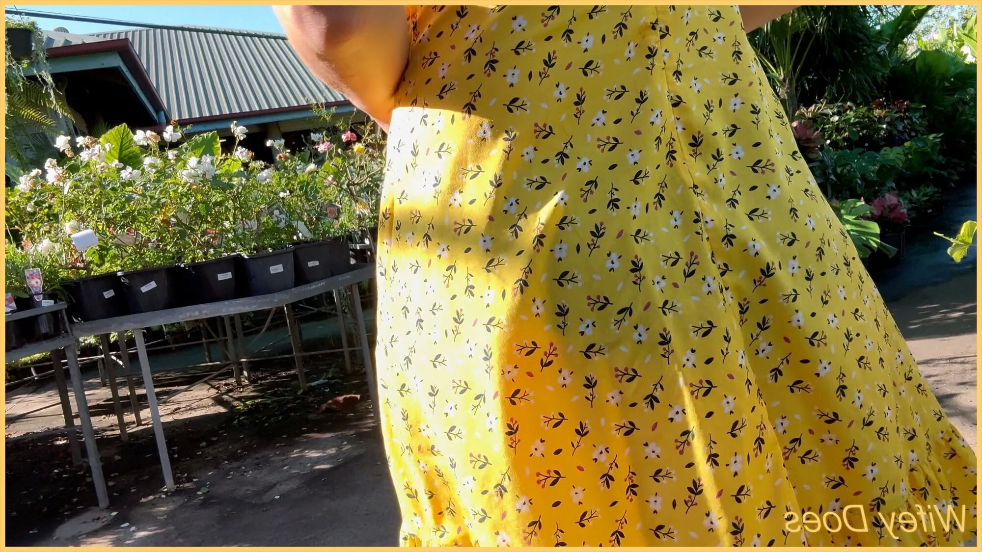Wifey summer yellow dress public and braless - 12 Pics