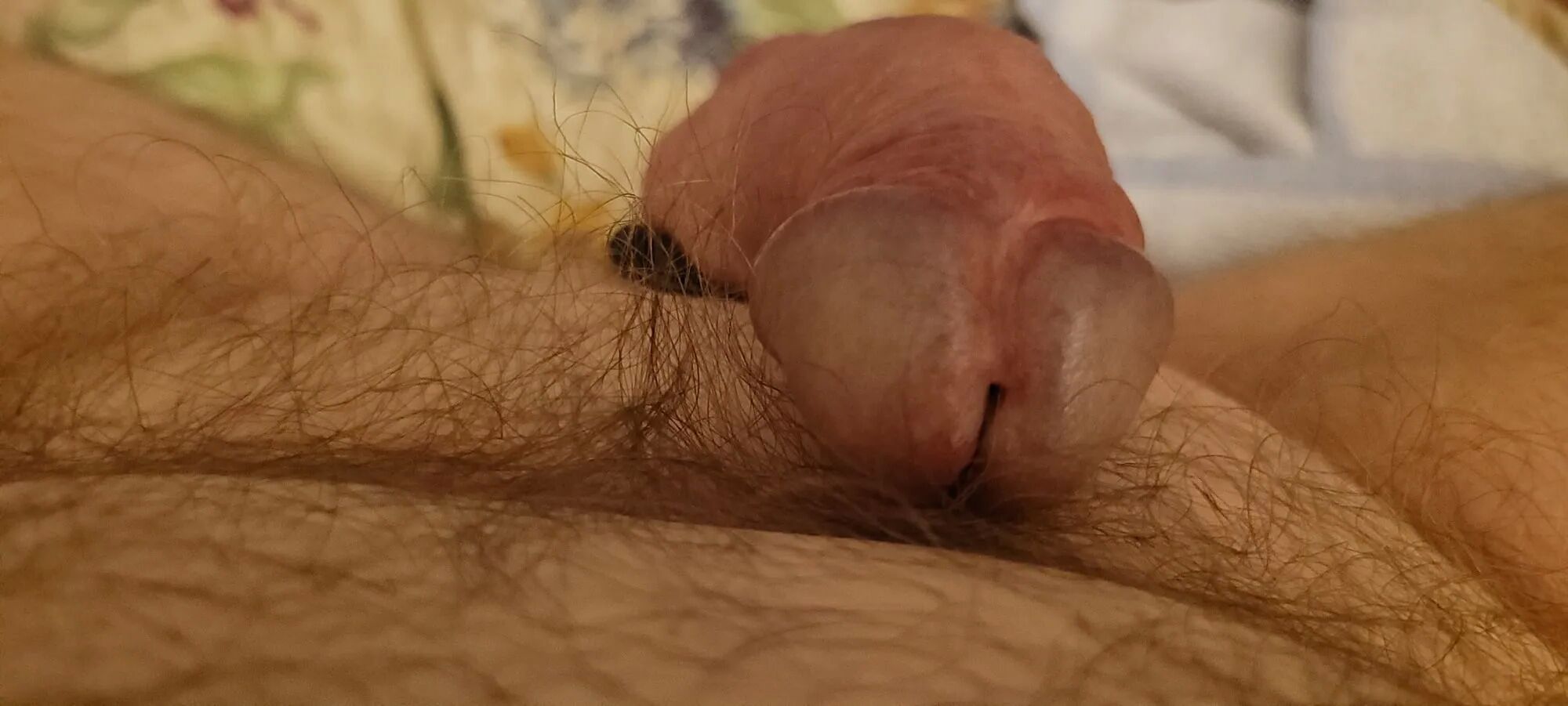 Like to jerk off my cock until the juice comes with dildo in - 28 Pics