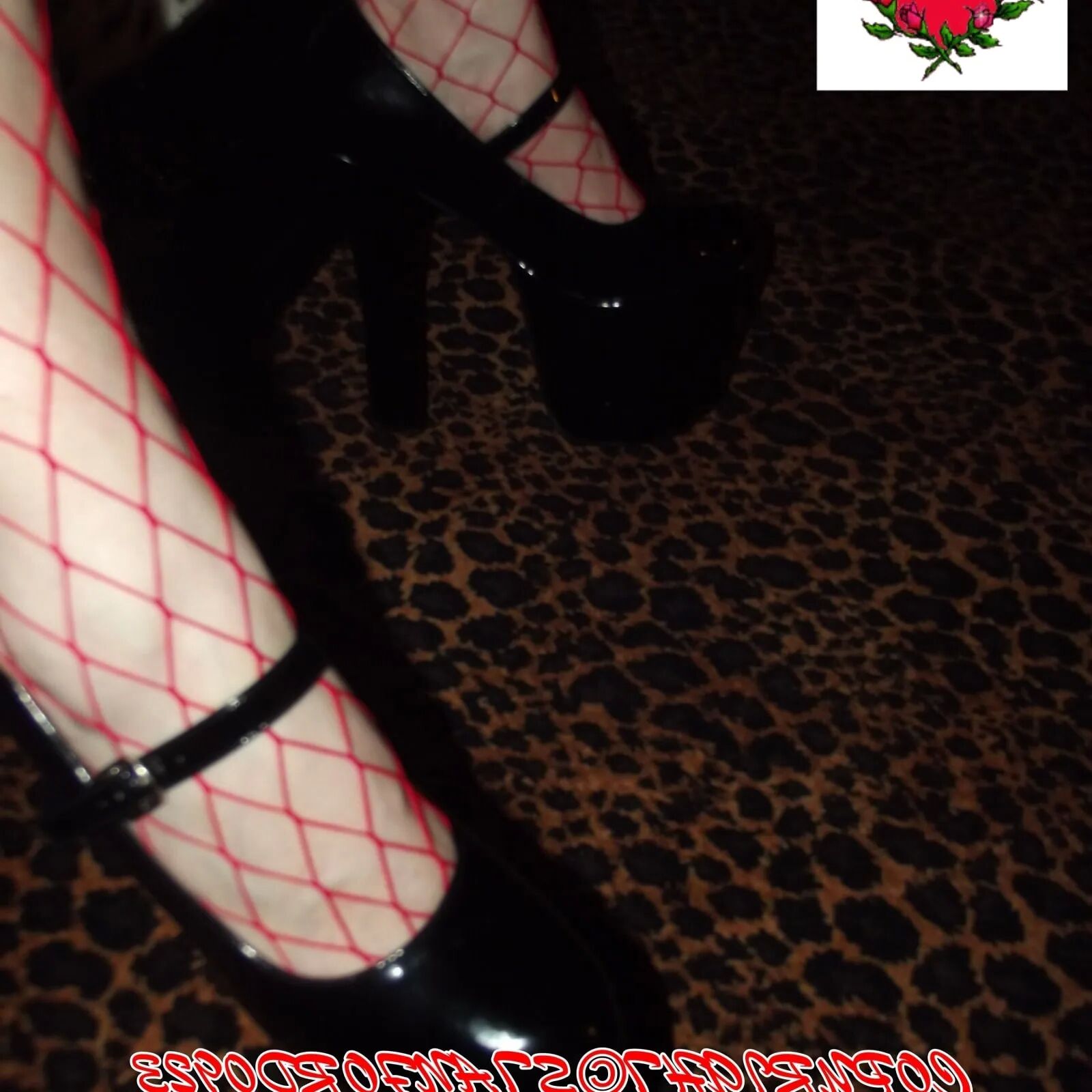 SHIRLEY SLUT 827 - 99 Pics