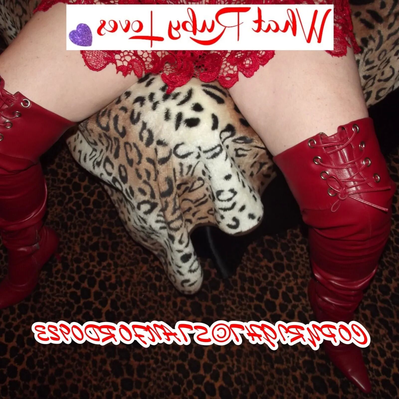 SHIRLEY SLUT 804 - 137 Pics