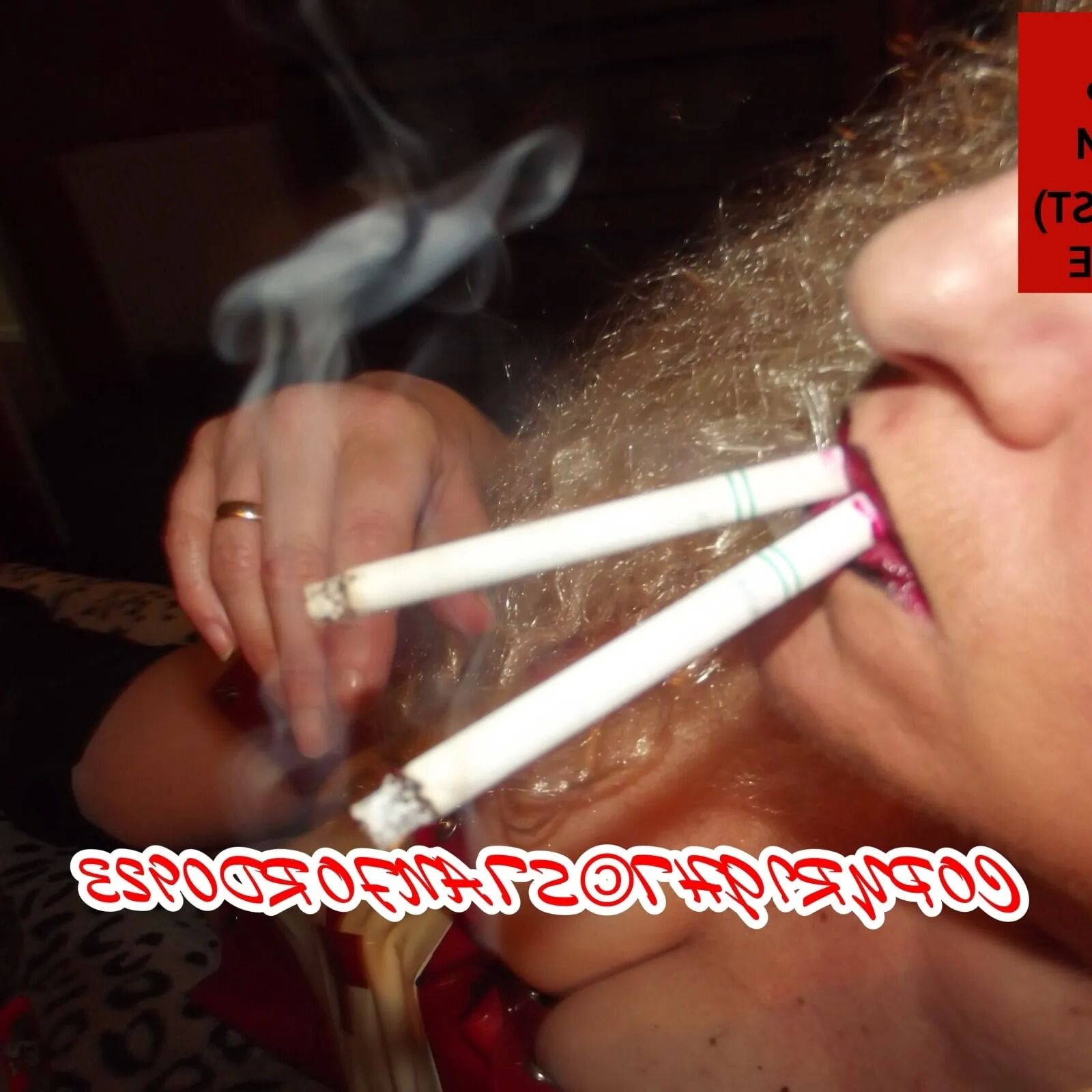 SHIRLEY SLUT 794 - 196 Pics