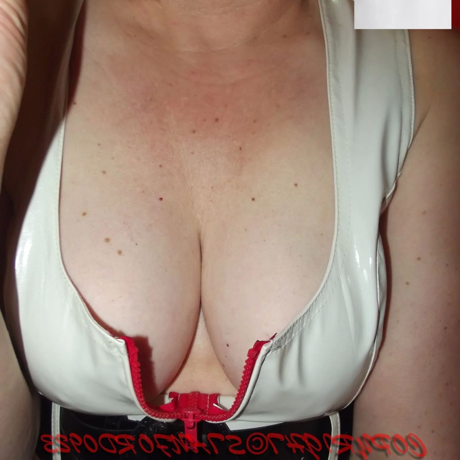 SHIRLEY SLUT 792 - 62 Pics