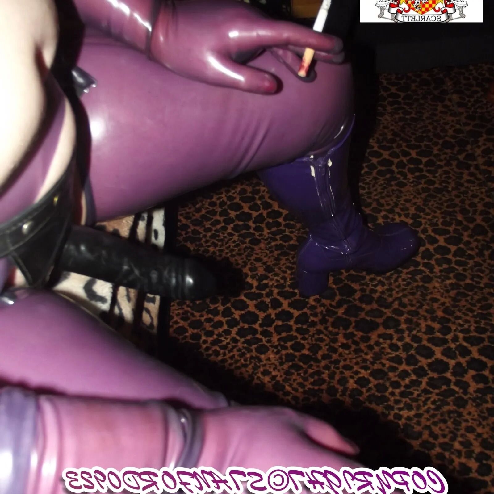 SHIRLEY SLUT 781 - 83 Pics