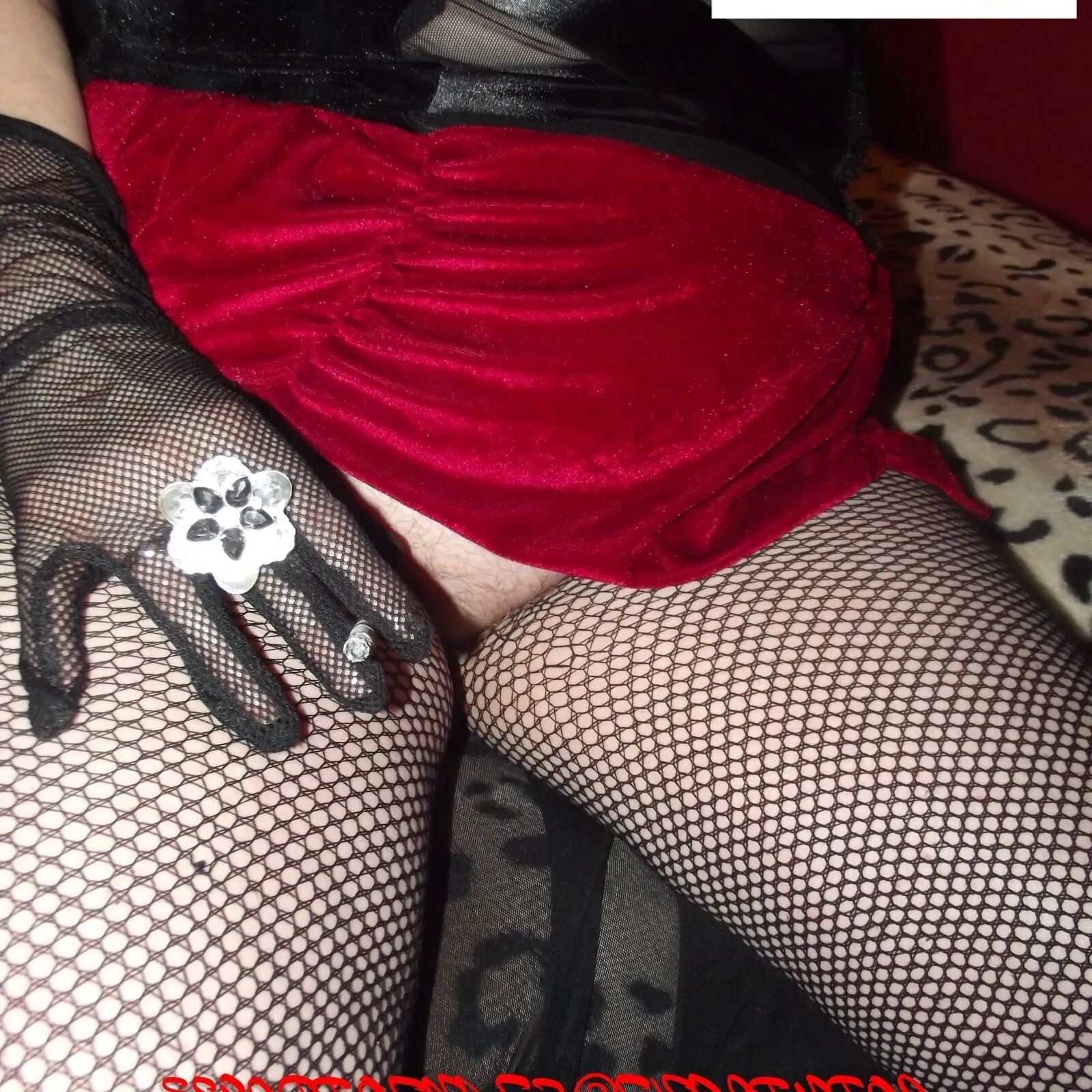SHIRLEY SLUT 741 - 130 Pics