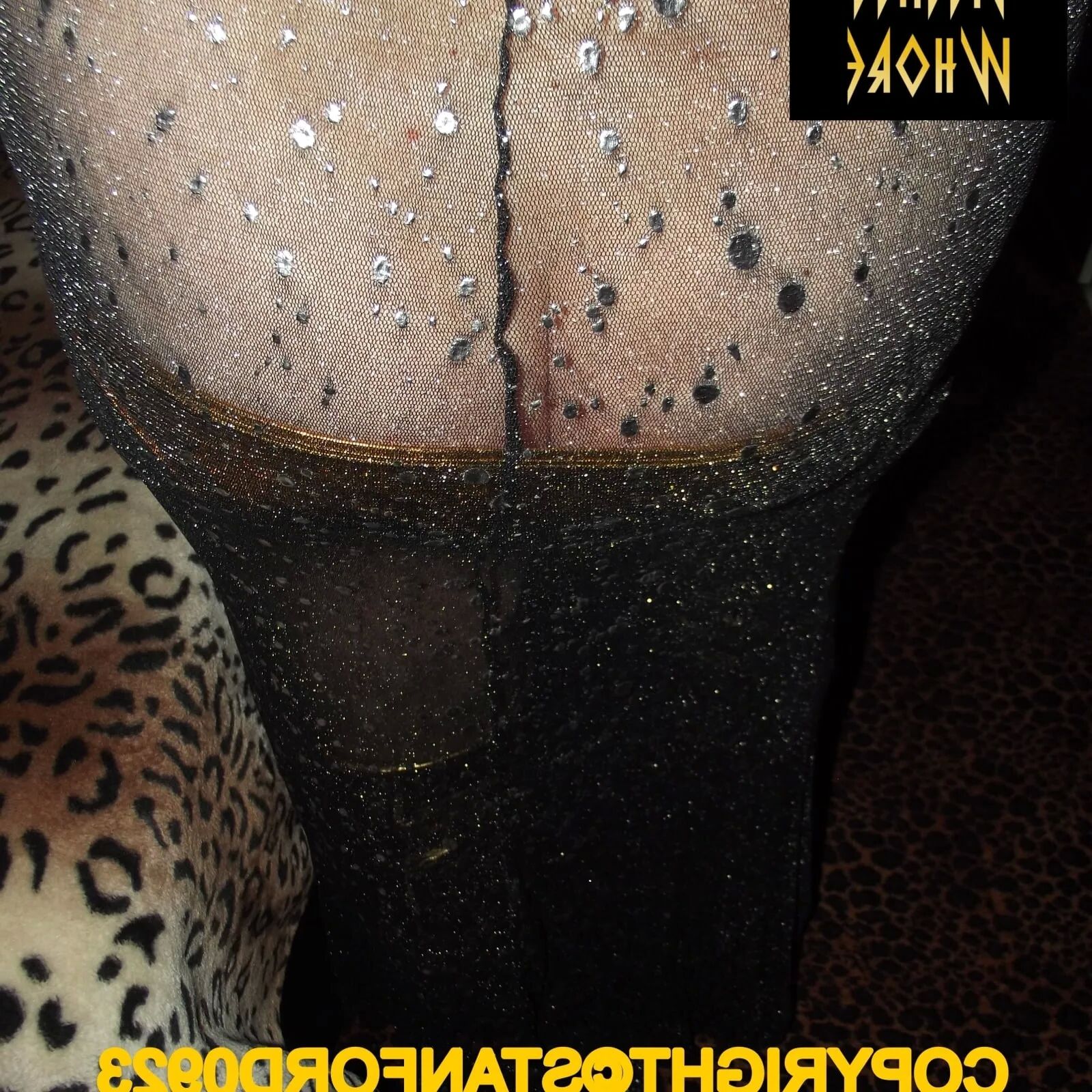 SHIRLEY SLUT 732 - 147 Pics