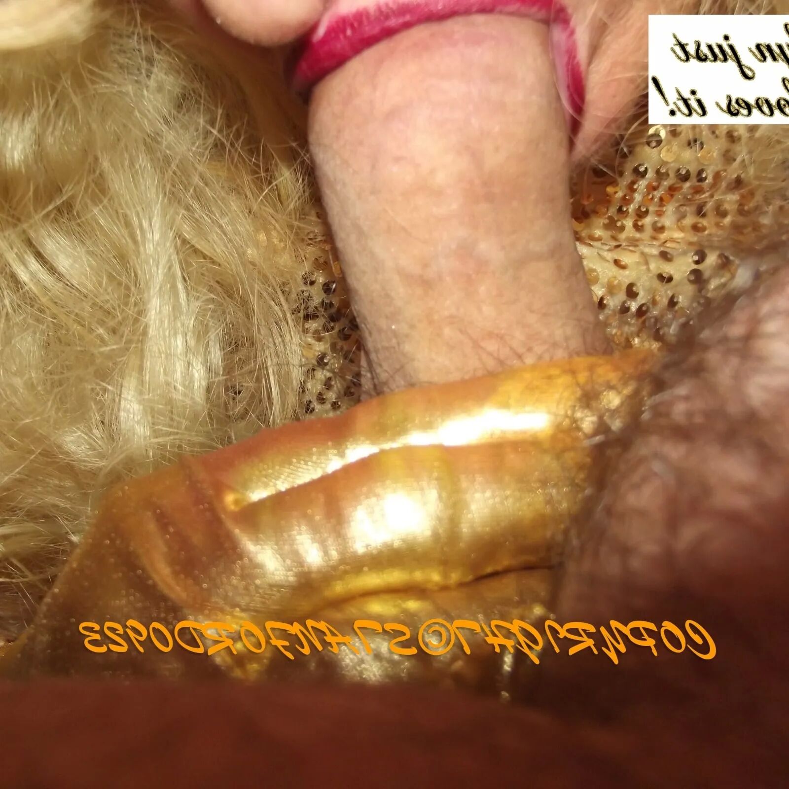 SHIRLEY SLUT 723 - 50 Pics