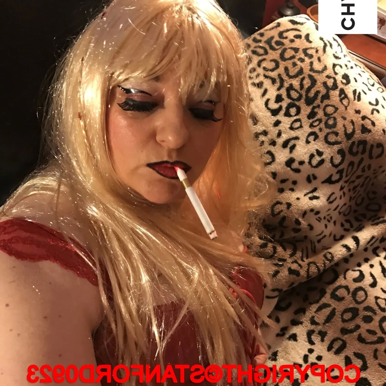 SHIRLEY SLUT 702 - 70 Pics