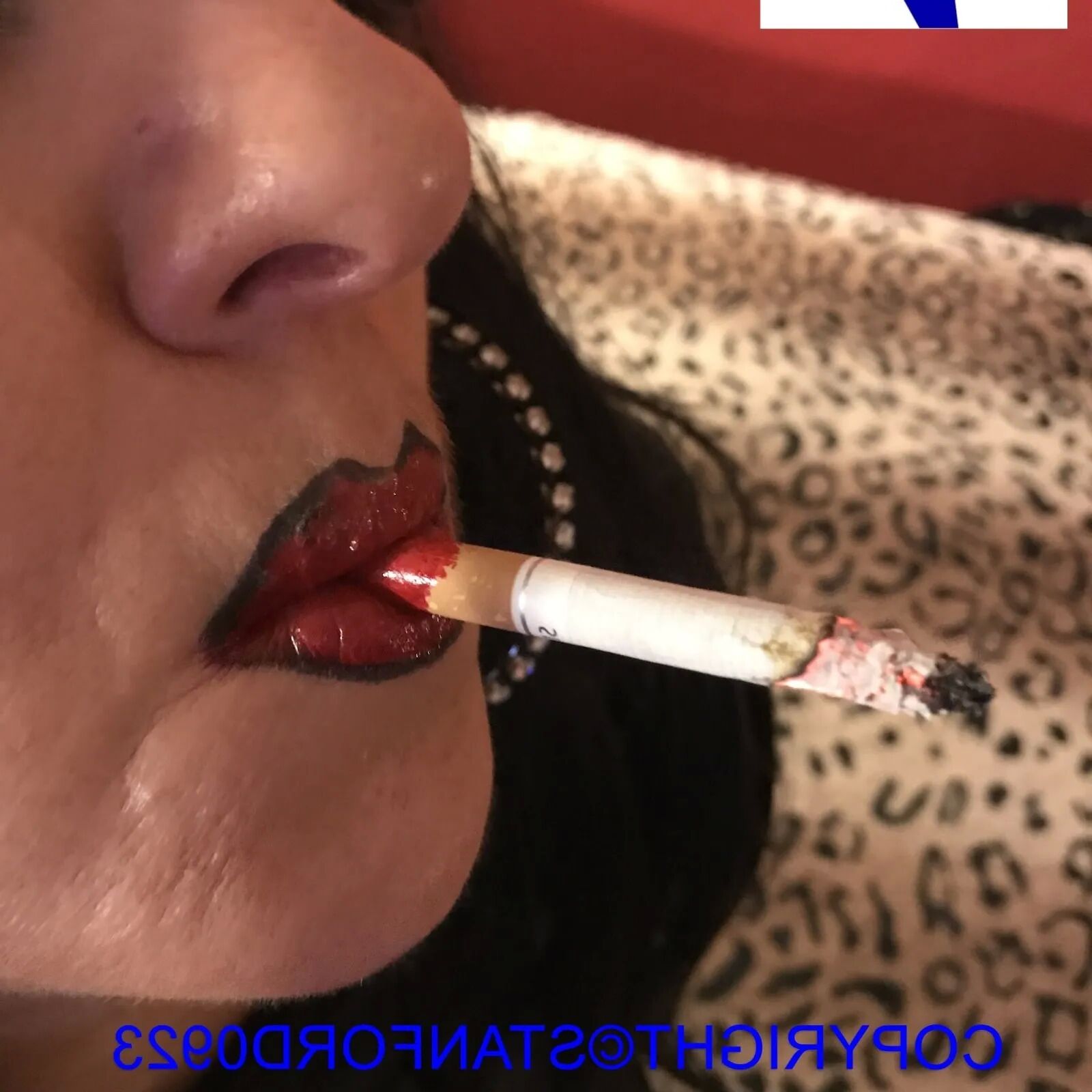 SHIRLEY SLUT 698 - 32 Pics
