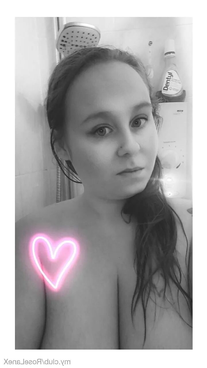 Rose Free Photos - 9 Pics