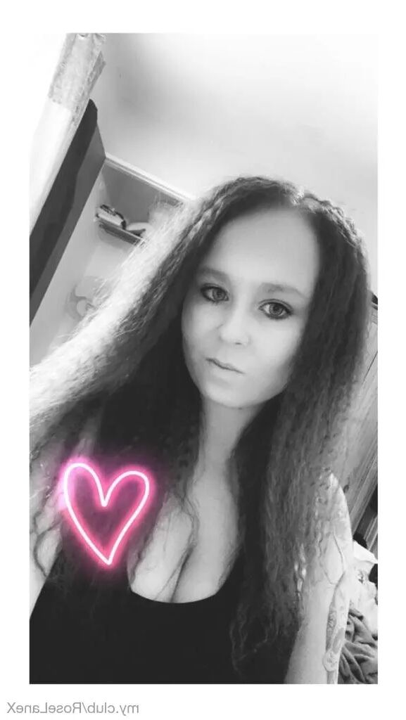 Rose Free Photos - 9 Pics