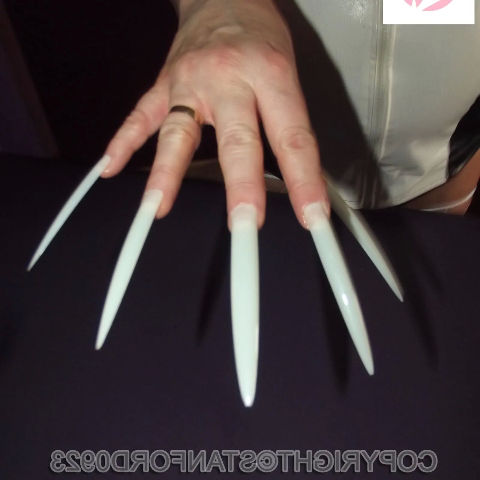 SHIRLEY SLUT 650 - 56 Pics