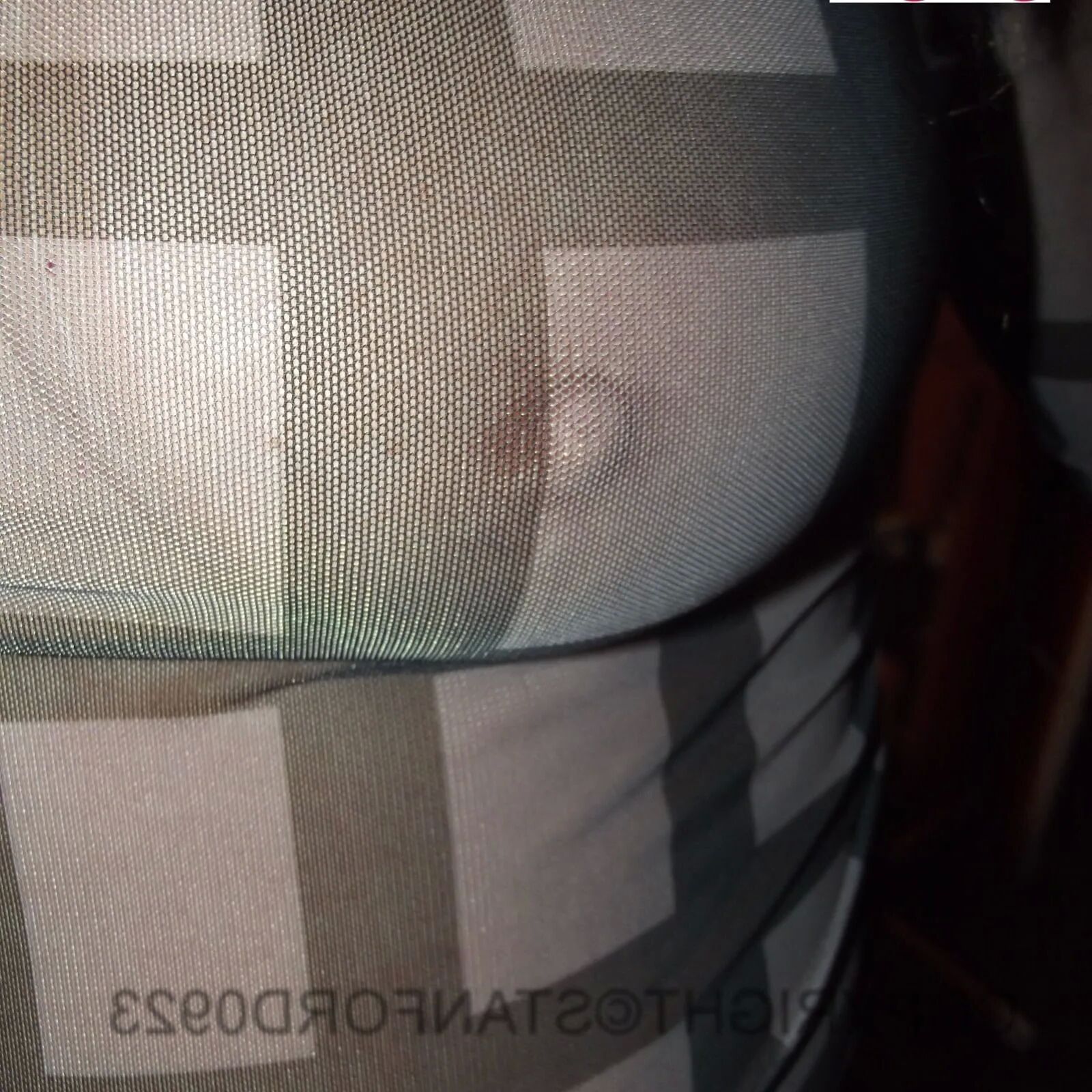 SHIRLEY SLUT 633 - 168 Pics