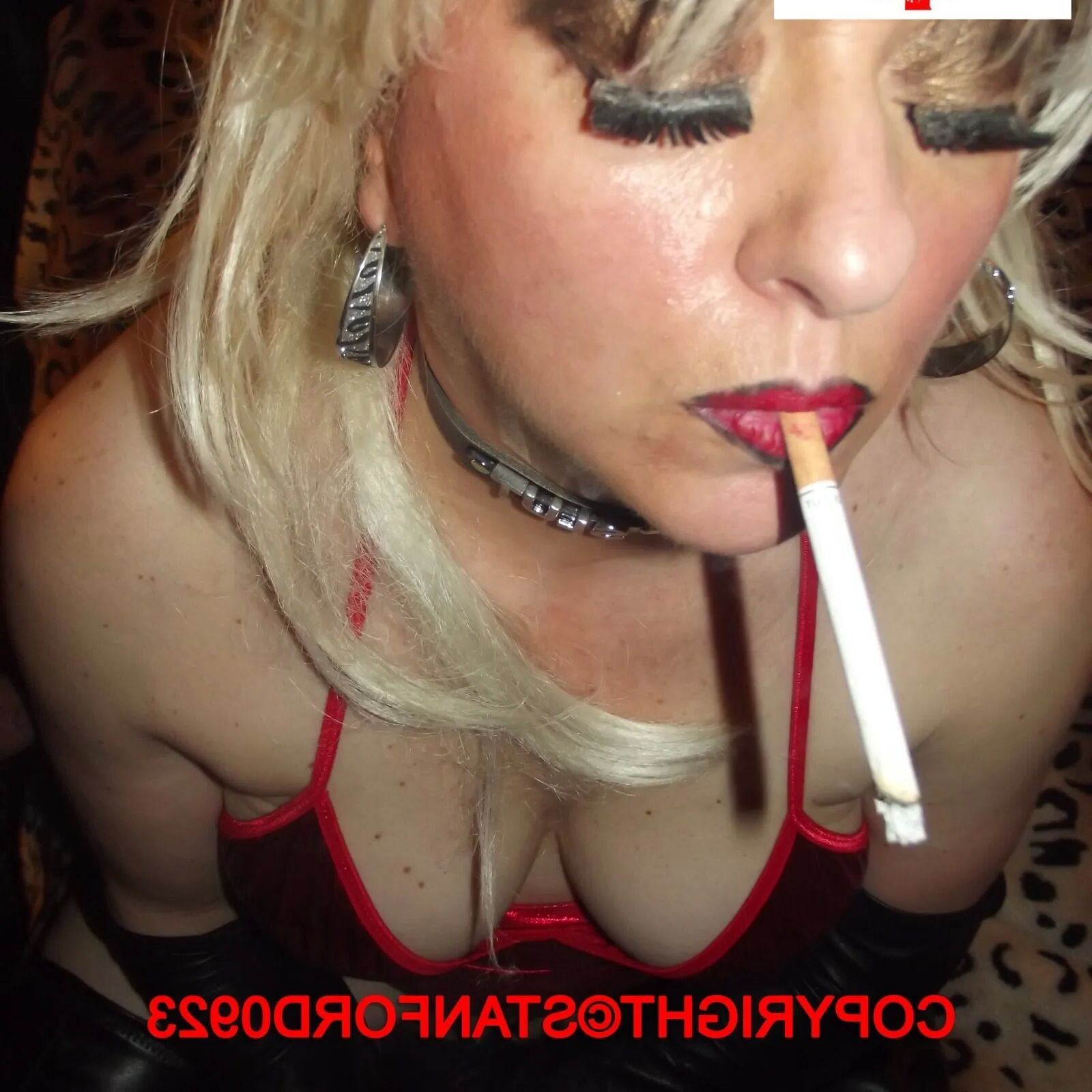 SHIRLEY SLUT 631 - 55 Pics