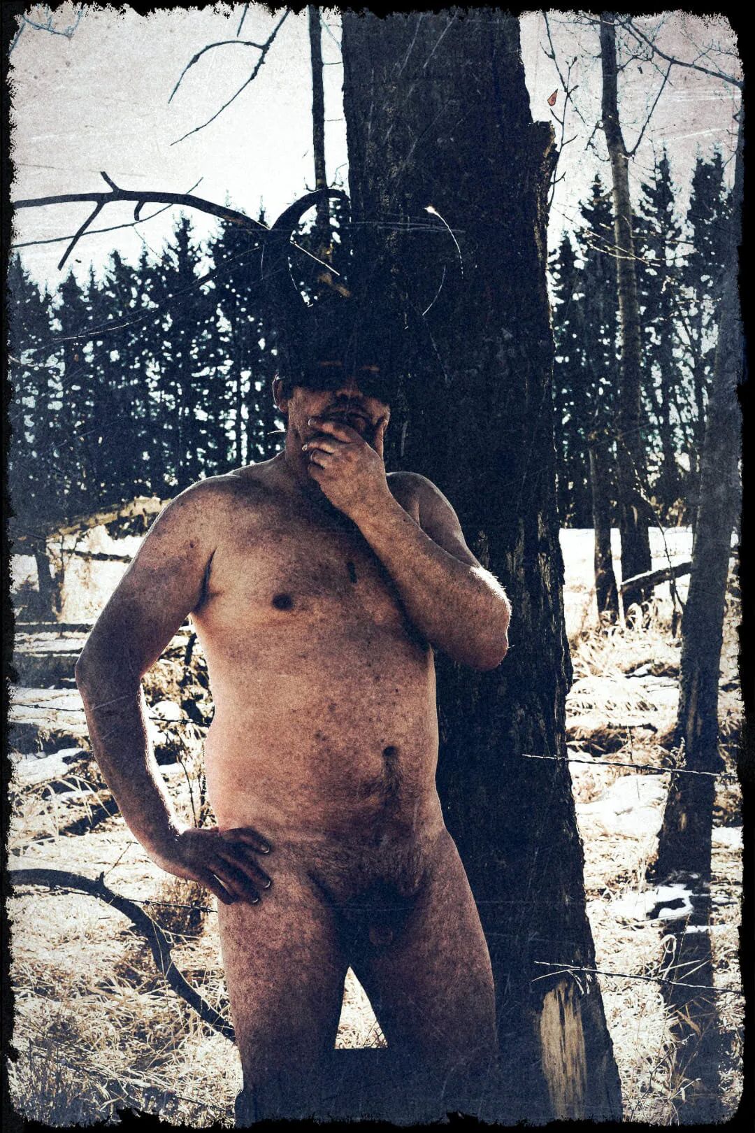 In The Woods - 17 Pics