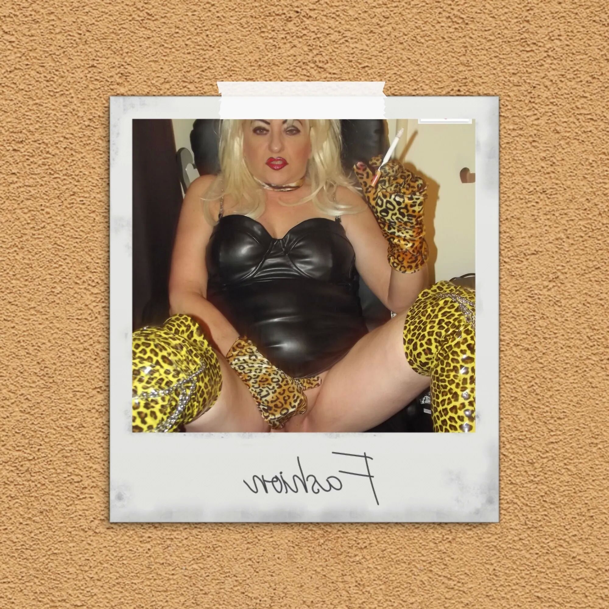 SHIRLEY POLAROID 13 - 50 Pics