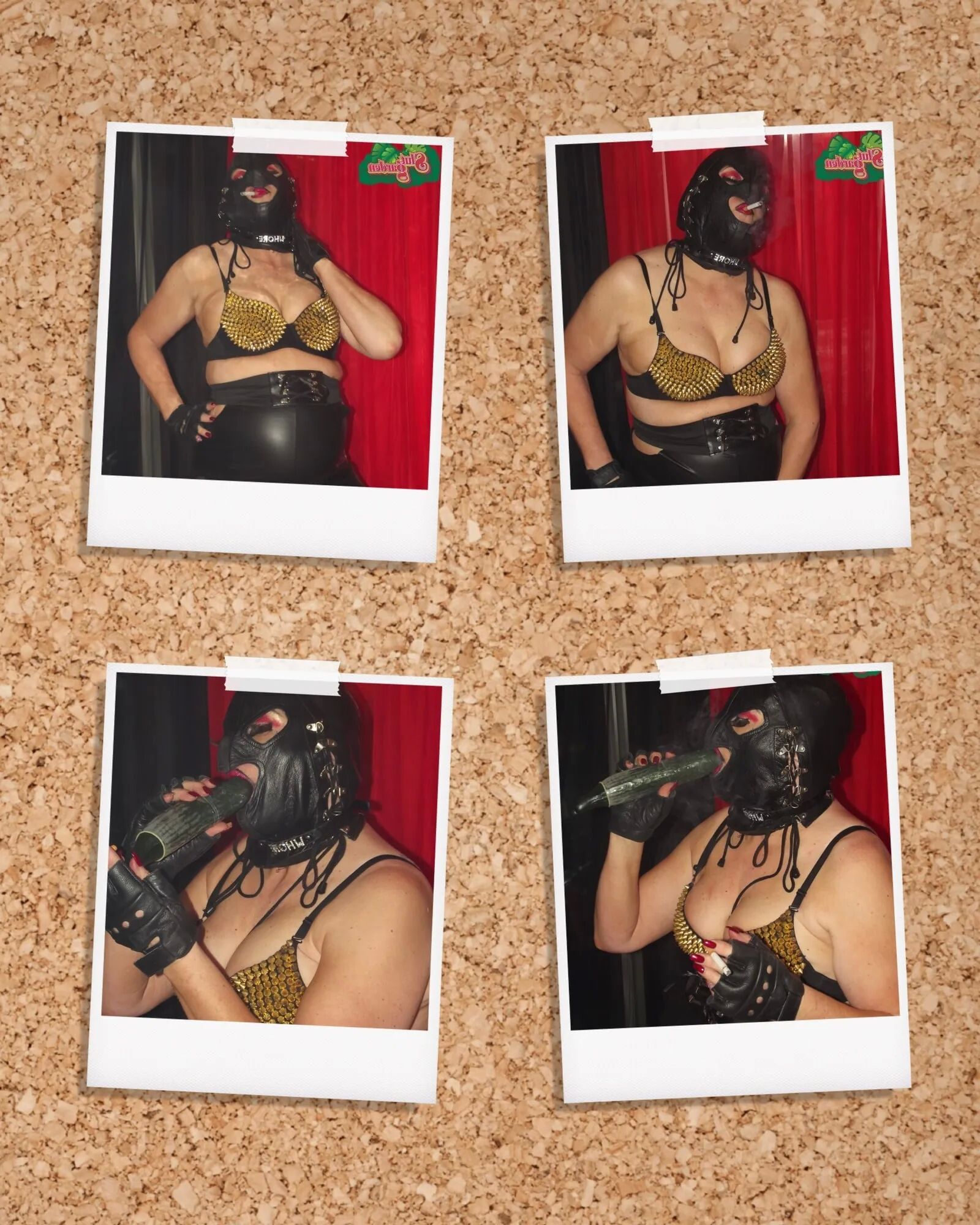 SHIRLEY POLAROID 7 - 49 Pics