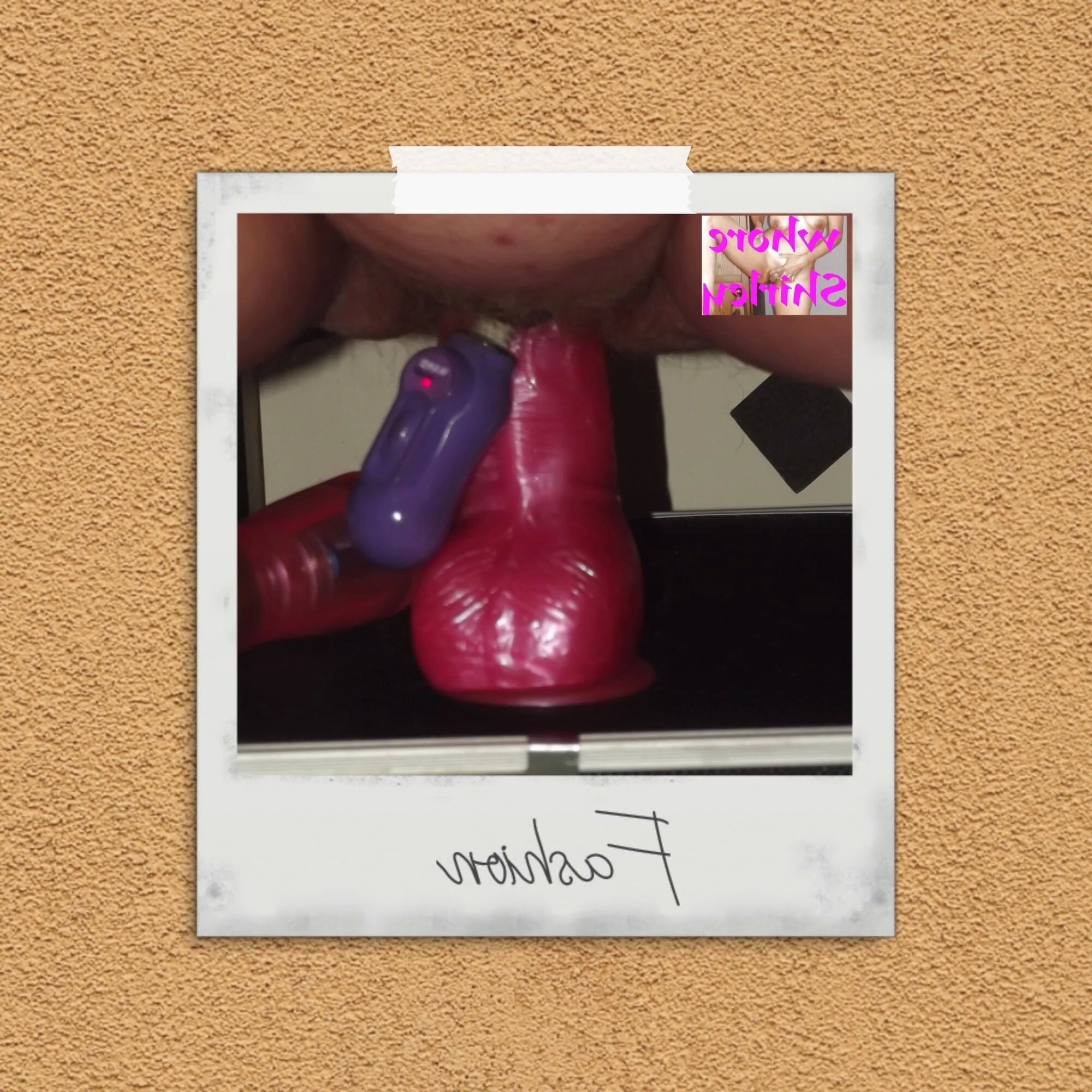 SHIRLEY POLAROID PT 12 - 50 Pics