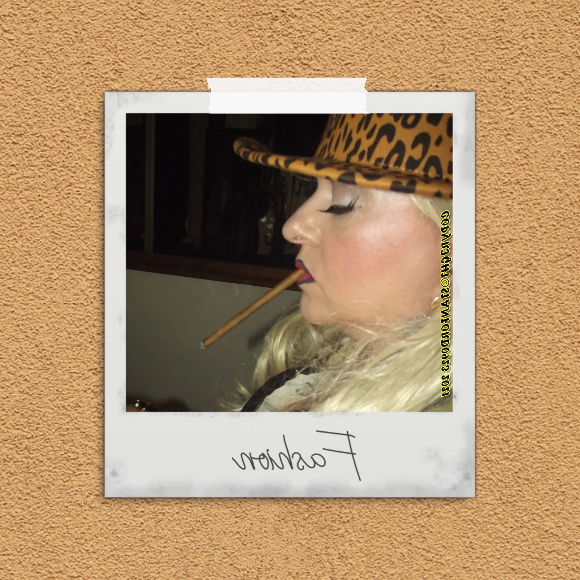 SHIRLEY POLAROID 16 - 50 Pics
