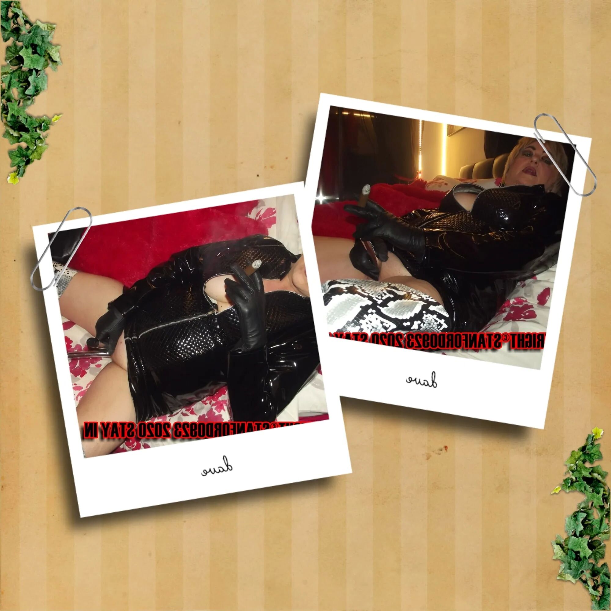SHIRLEY POLAROID PT 12 - 50 Pics