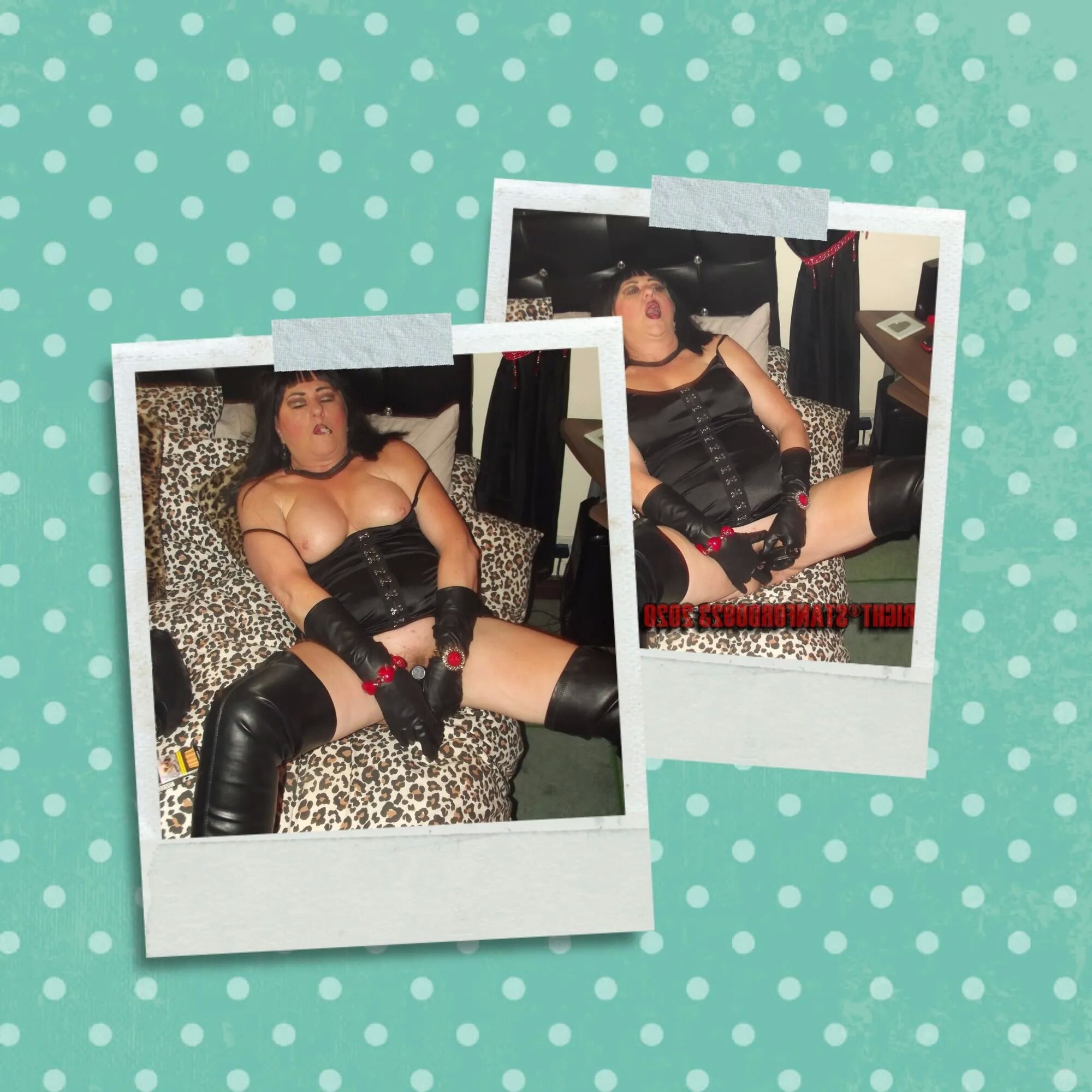 SHIRLEY POLAROID 7 - 49 Pics