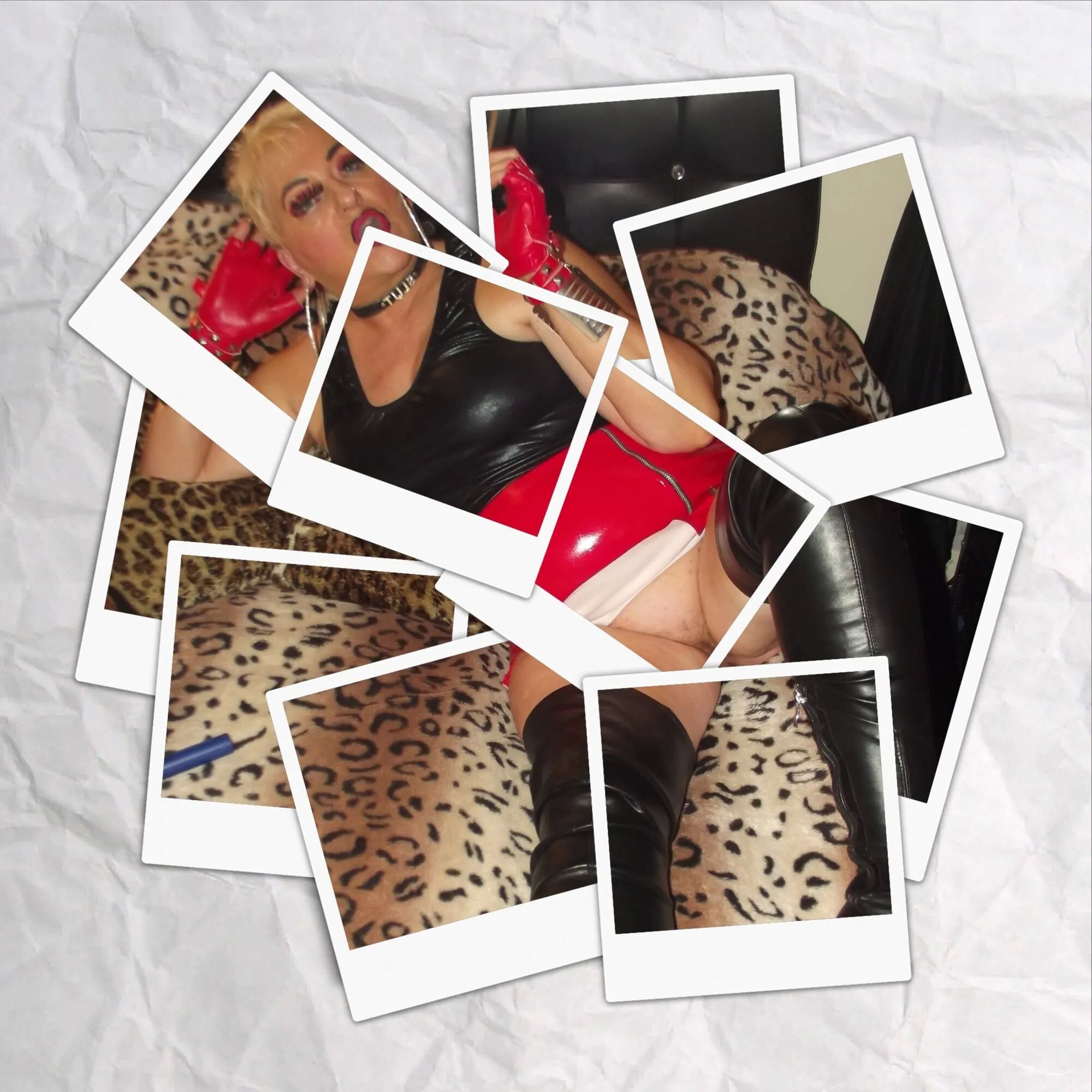 SHIRLEY POLAROID 1 - 52 Pics