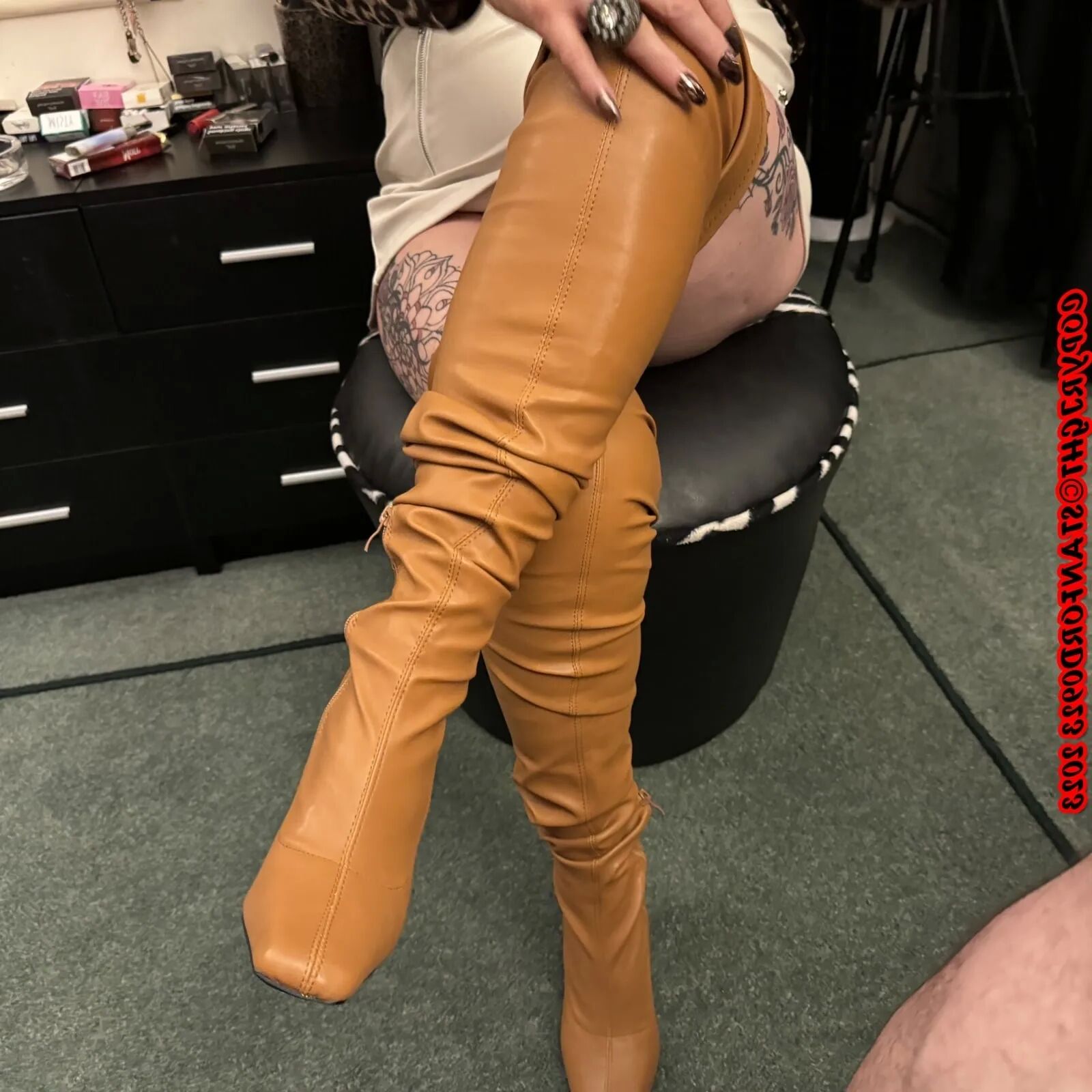 MORE SHIRLEY - 130 Pics
