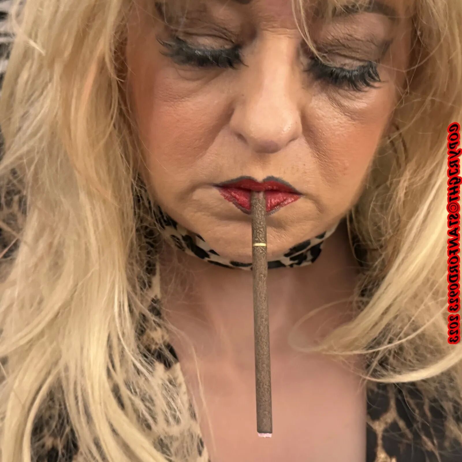 MORE SHIRLEY - 130 Pics