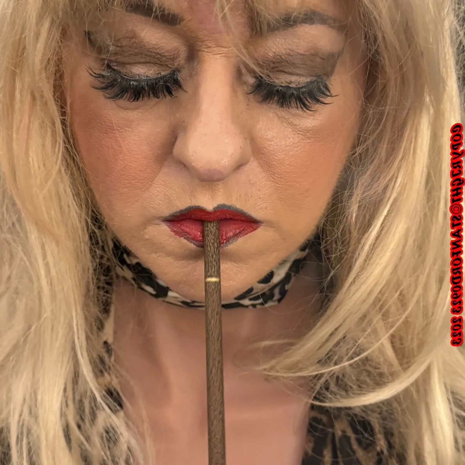 MORE SHIRLEY - 130 Pics
