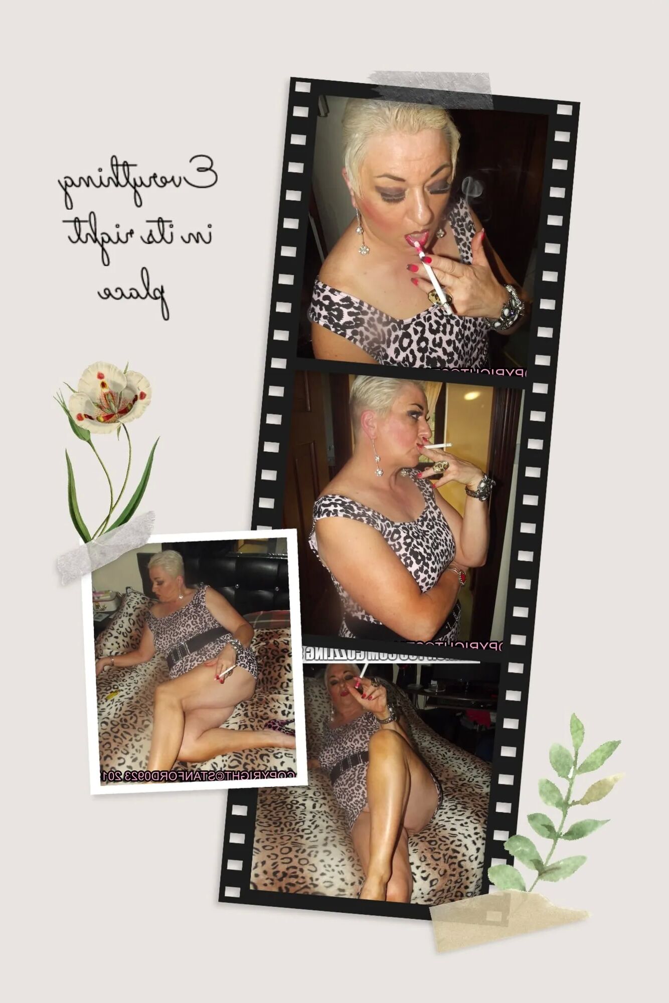 FILMSTRIP PT 20 - 99 Pics