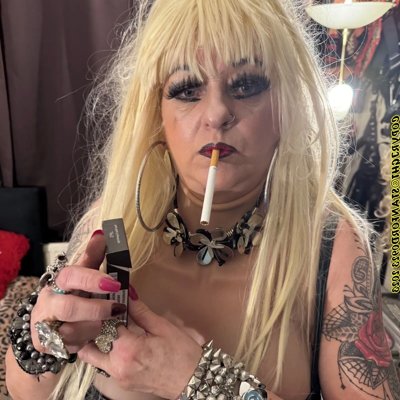 BLONDES DO IT BEST SHIRLEY - 106 Pics